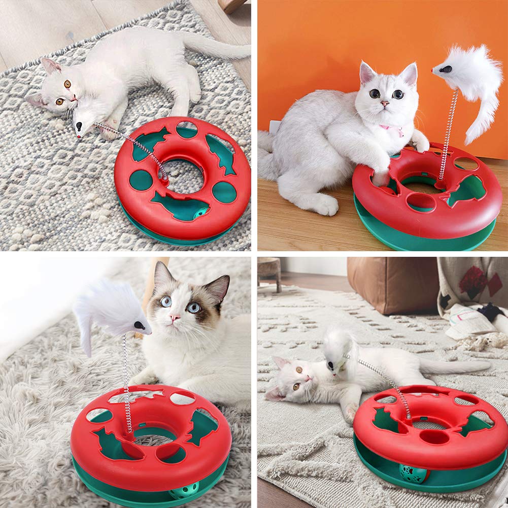 Pawzone comparaison d’échelle montrant taille et adaptabilité intérieure