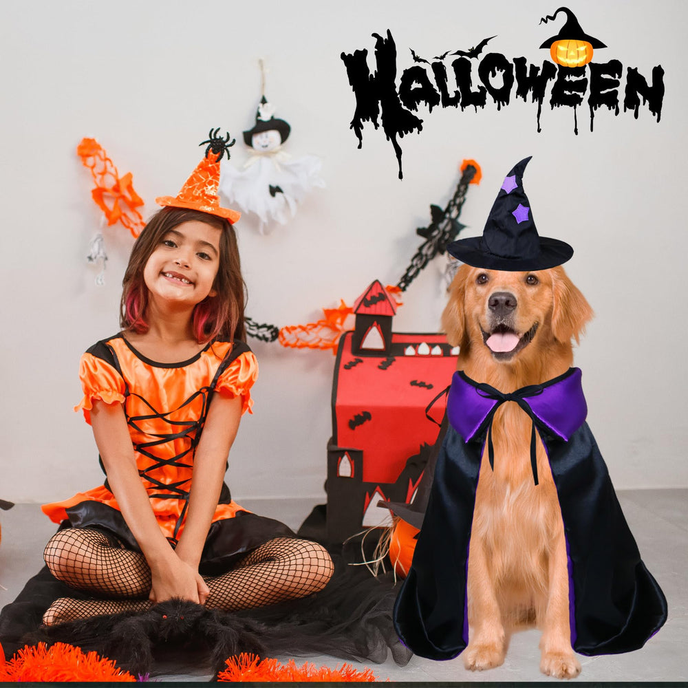 PAYHTOW décor festif Halloween avec chien déguisé apportant ambiance ludique