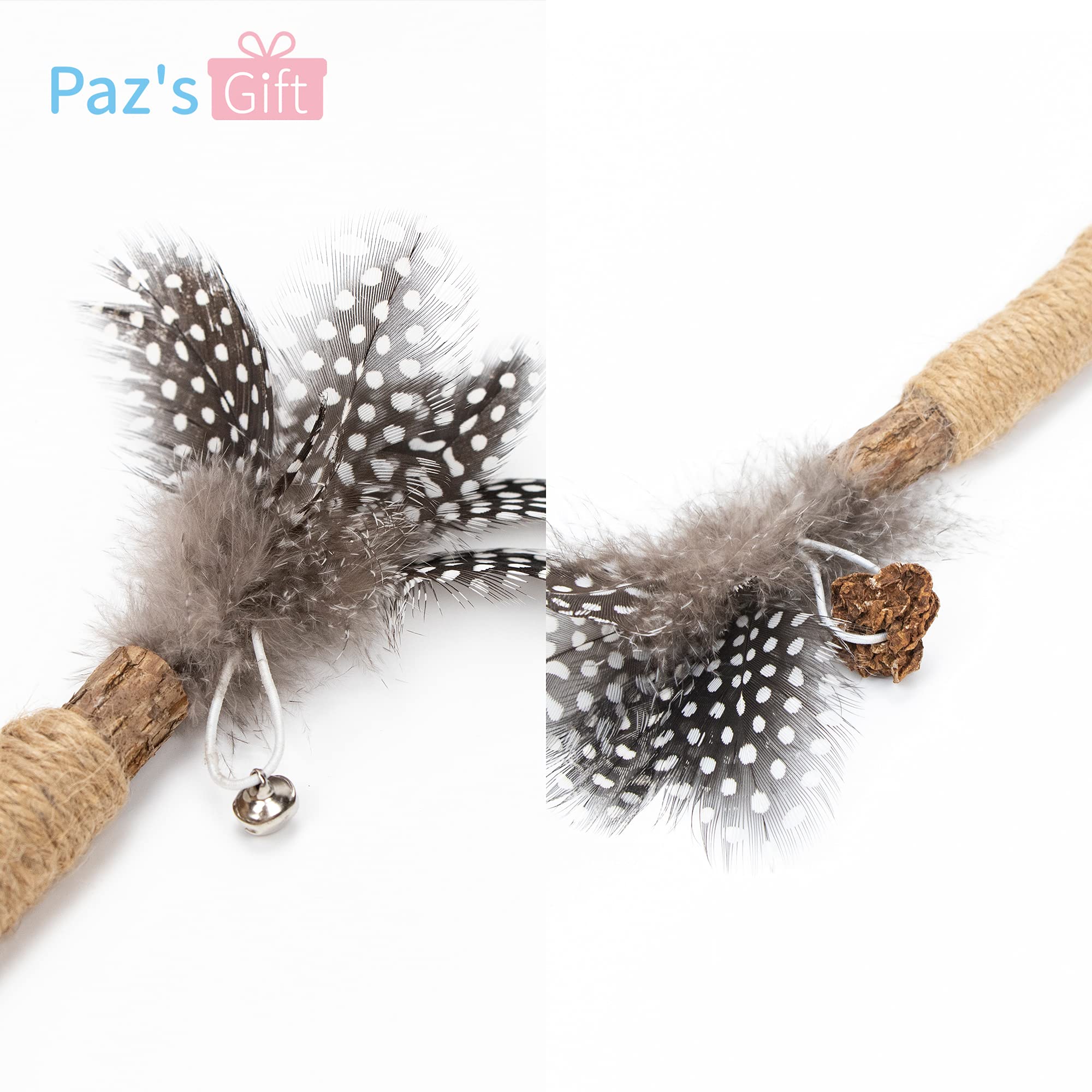 PAZ'S GIFT chat jouant avec le bâtonnet, stimulation et détente