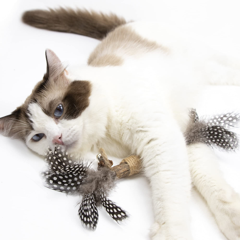 PAZ'S GIFT présentation cadeau, idéal pour offrir aux propriétaires de chats