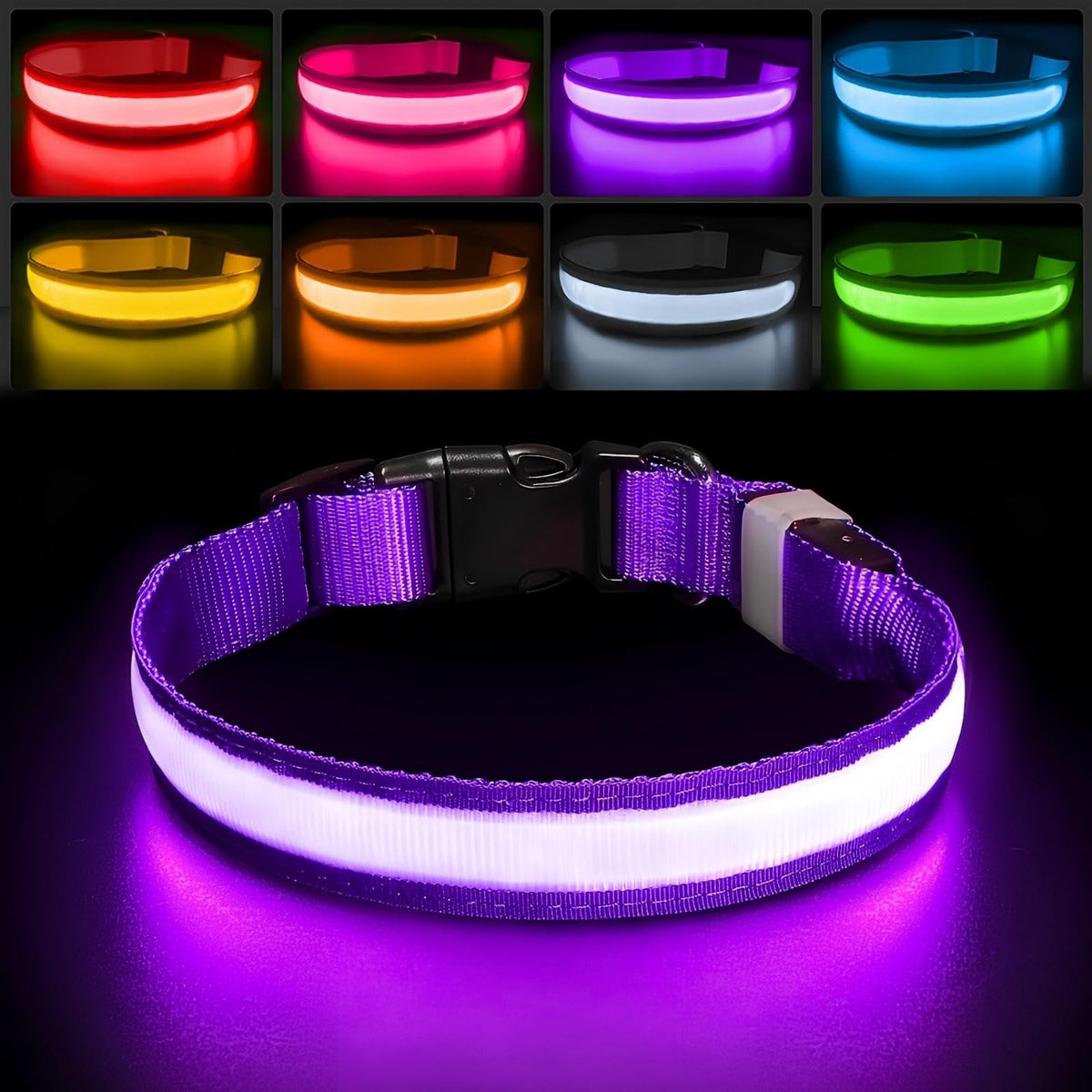 PcEoTllar collier violet face avant montrant visibilité accrue
