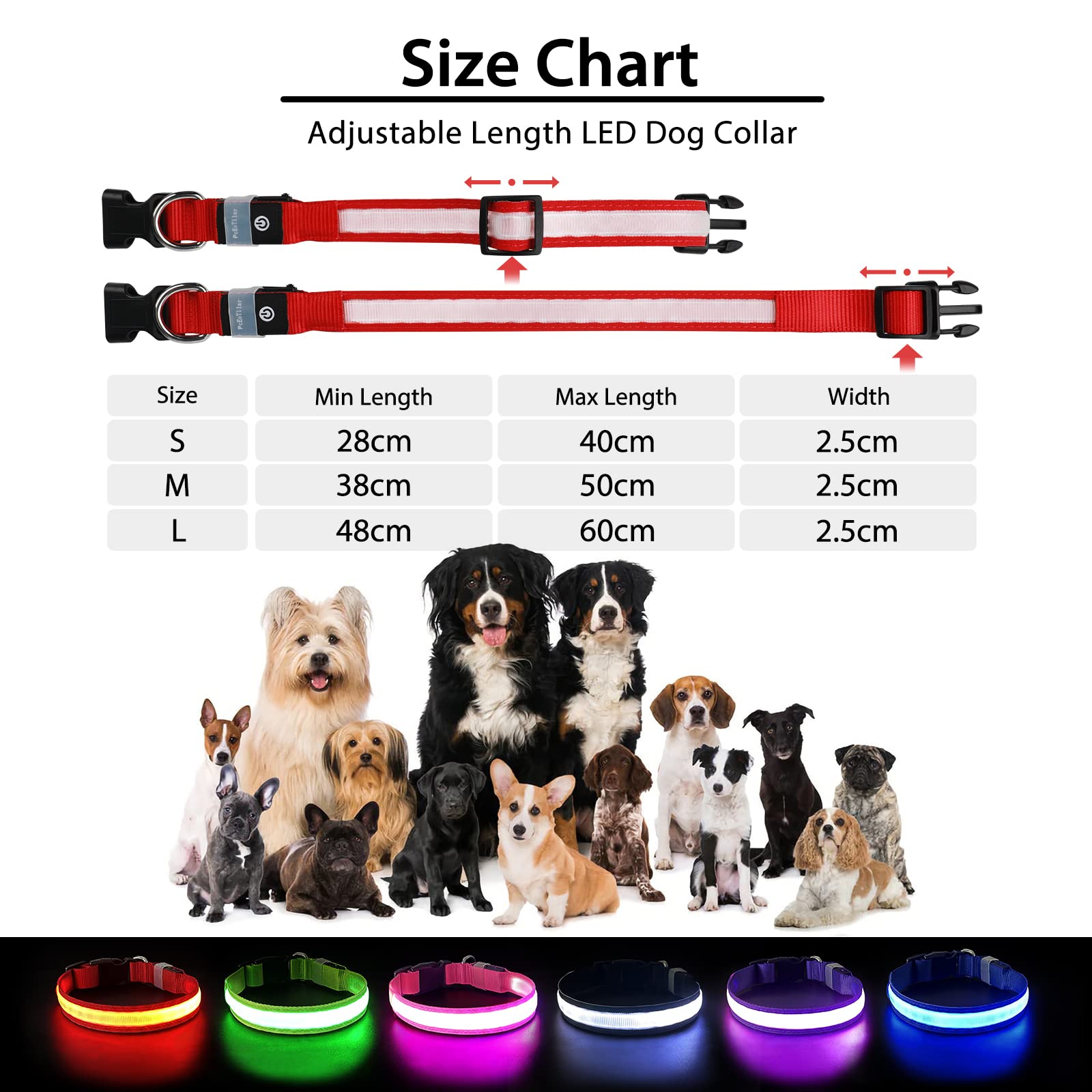 PcEoTllar collier taille M positionné pour comparaison de dimension