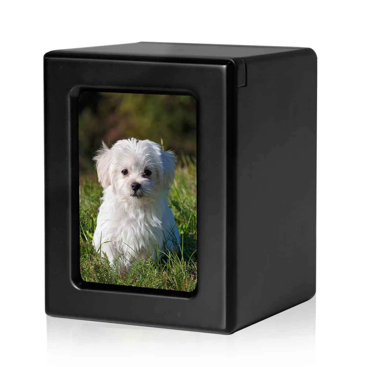 PCS PET CREMATORY SUPPLIES urne face avant avec cadre photo, permet hommage discret