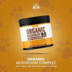 Peak Pets poudre mélangée à la gamelle d’un chien illustrant l’ajout quotidien simple