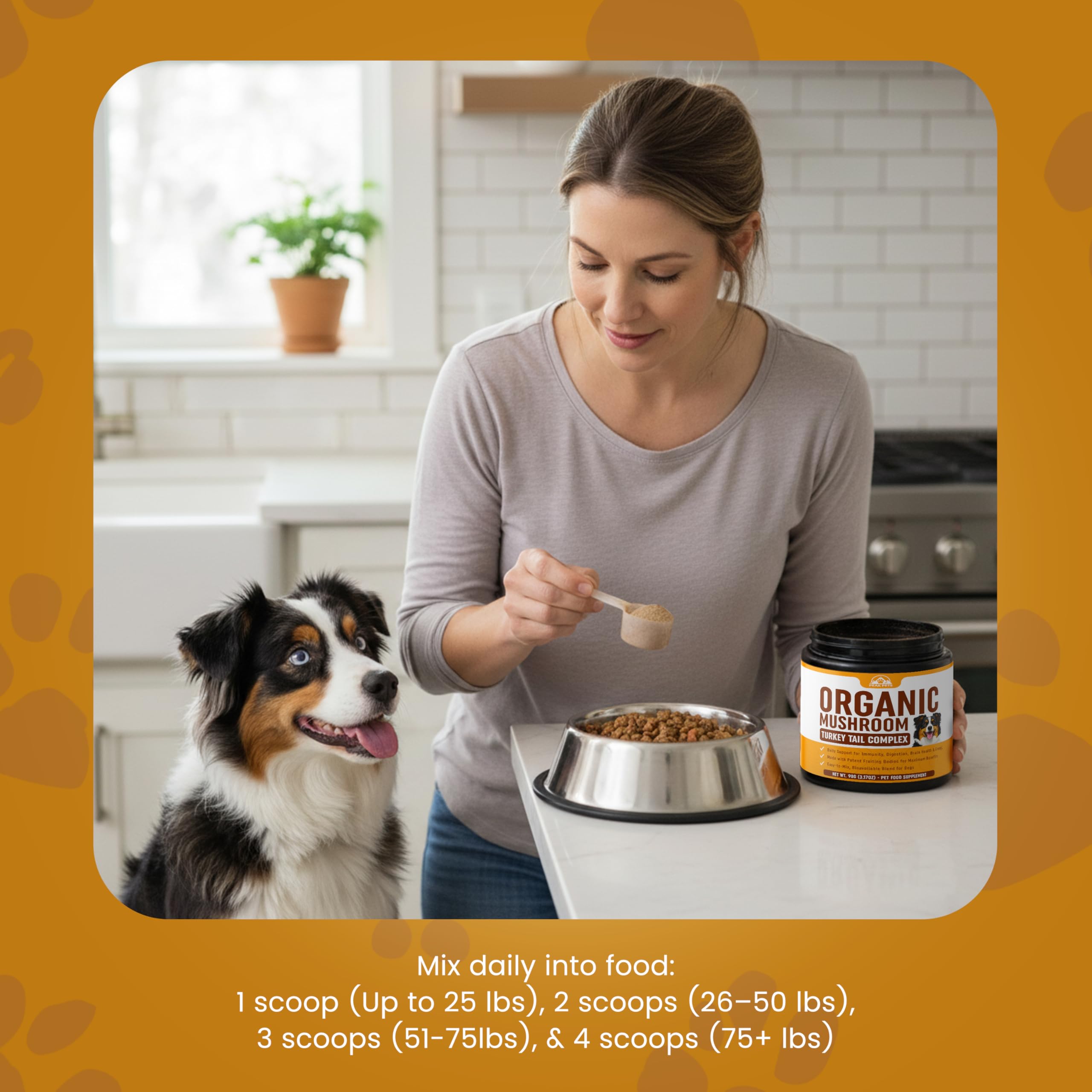 Peak Pets comparaison taille du contenant dans une main pour visualiser le format