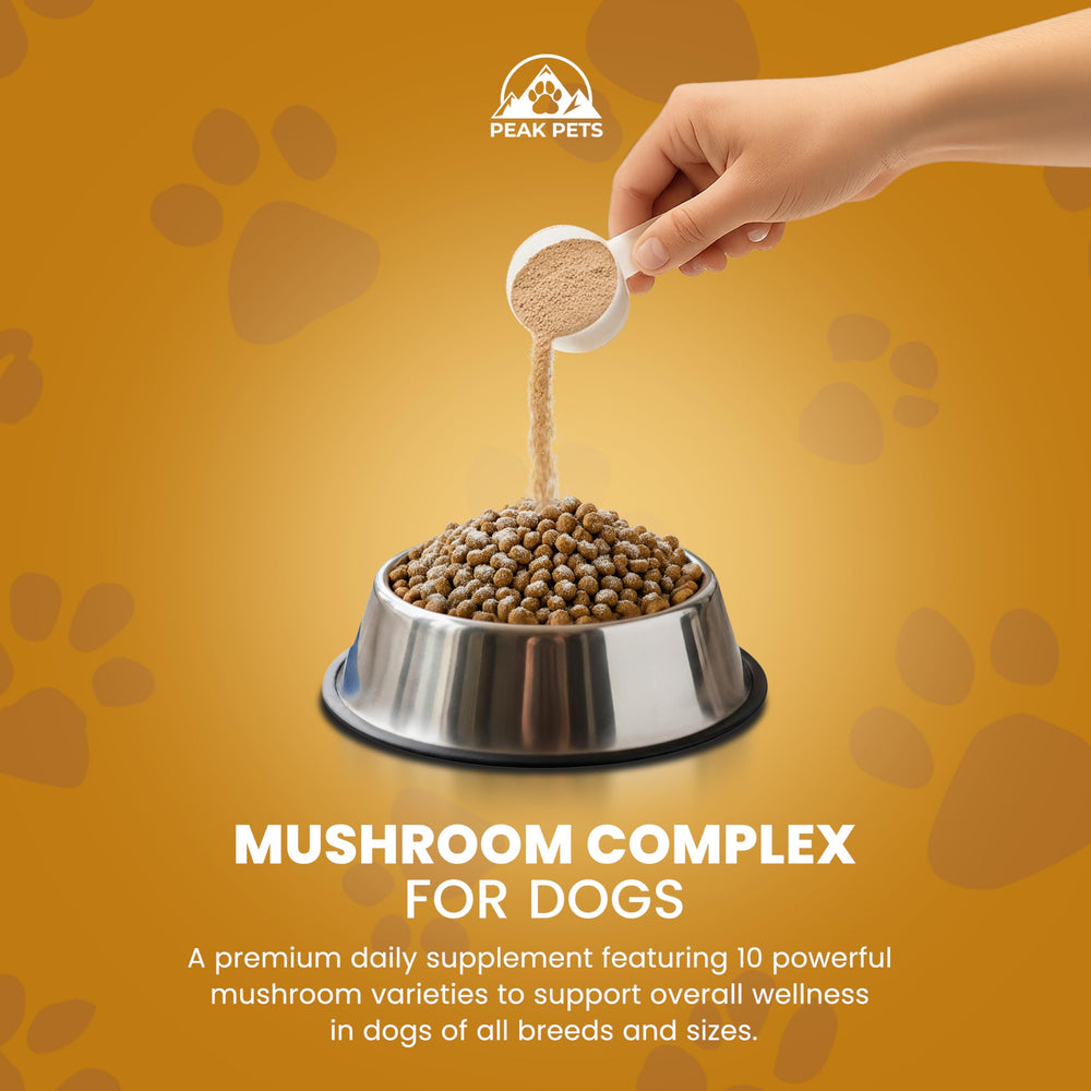 Peak Pets image de la composition listant les dix champignons pour diversité nutritionnelle