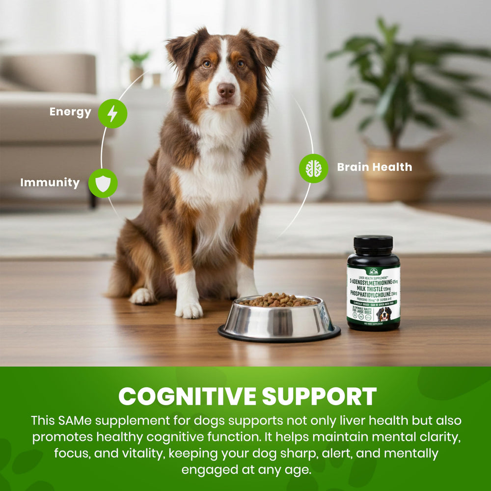 Peak Pets étiquette produit détails tests tiers et non OGM