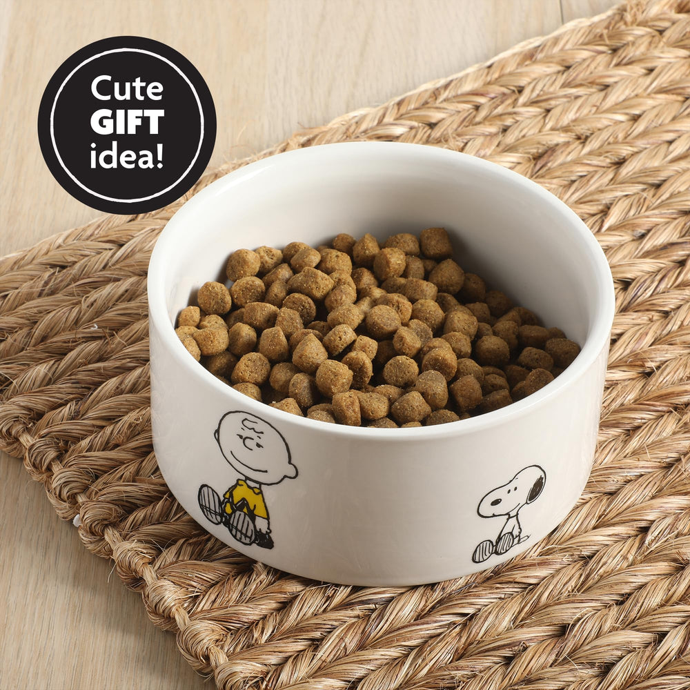 Peanuts bol dans cuisine décorée ajoutant style et fonctionnalité