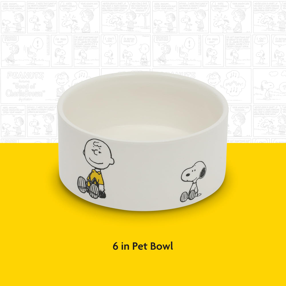 Peanuts texture grès illustrant surface solide et hygiénique