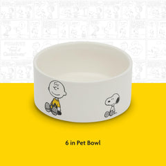 Peanuts texture grès illustrant surface solide et hygiénique