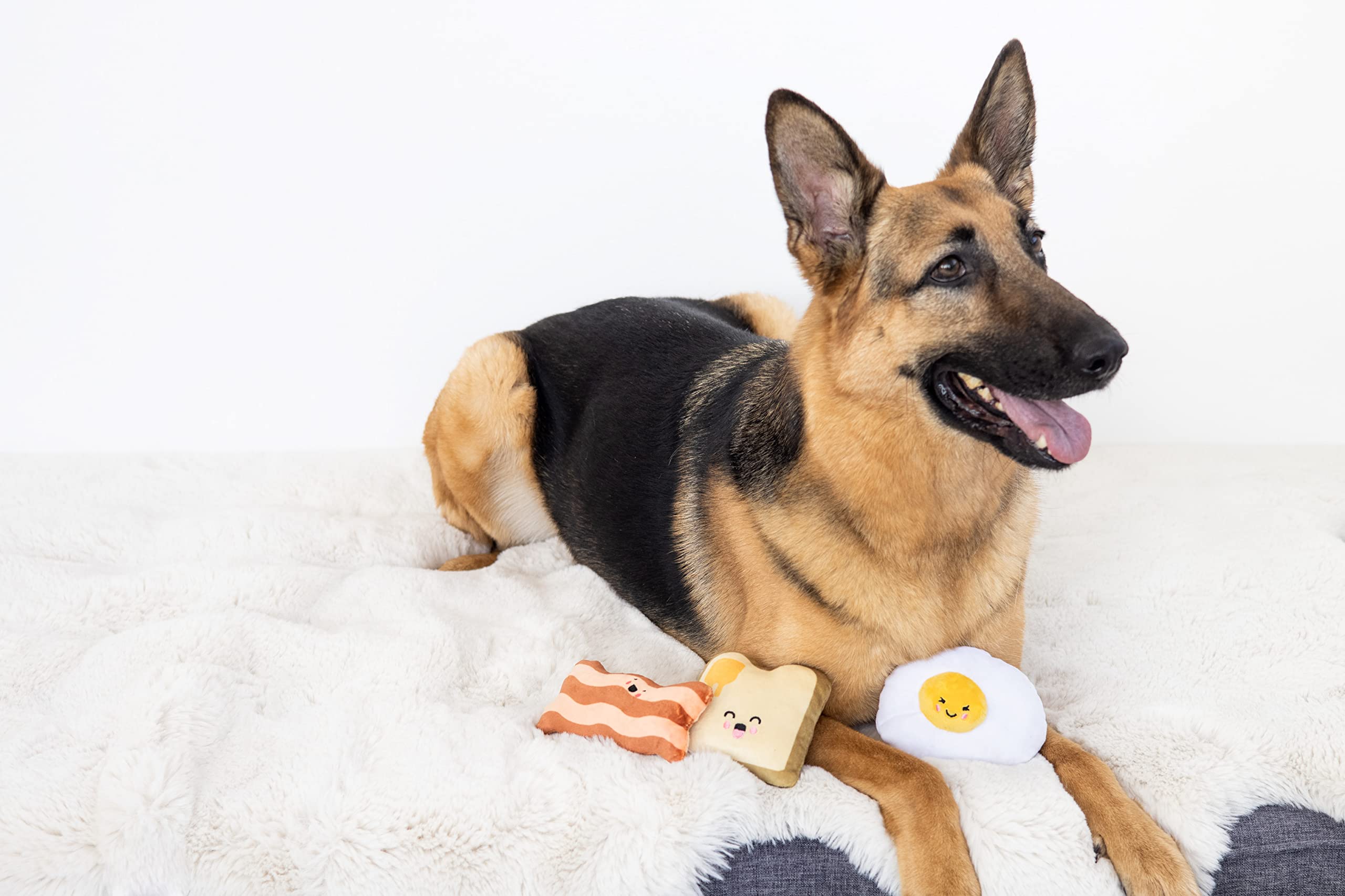 Pearhead jouets cachés sous coussin pour stimuler la recherche et l’esprit