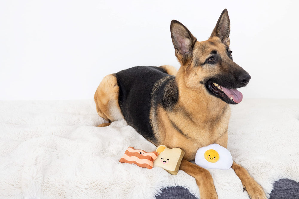 Pearhead jouets cachés sous coussin pour stimuler la recherche et l’esprit