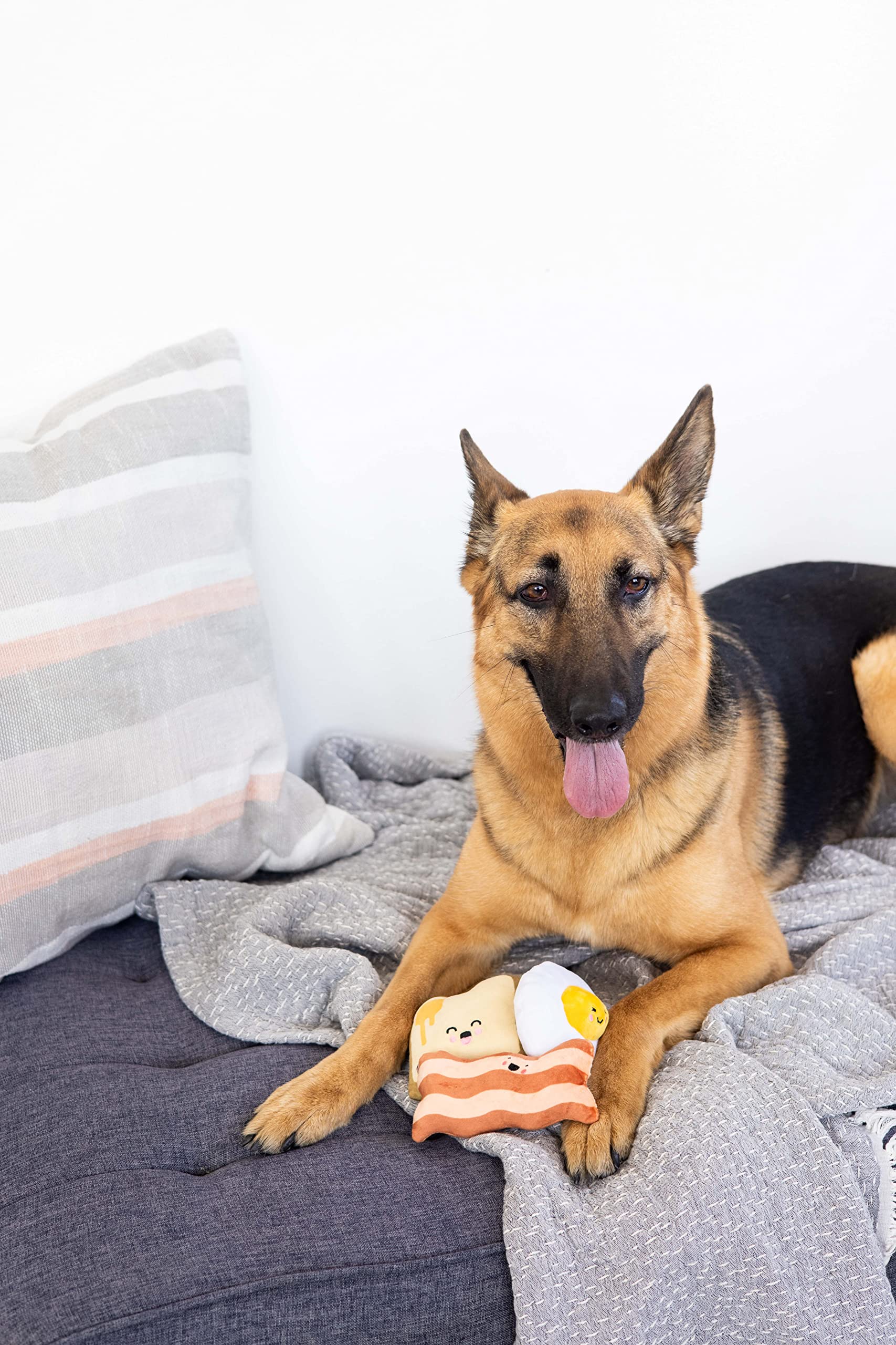 Pearhead chien rapportant le jouet, encourage l’exercice et l’interaction