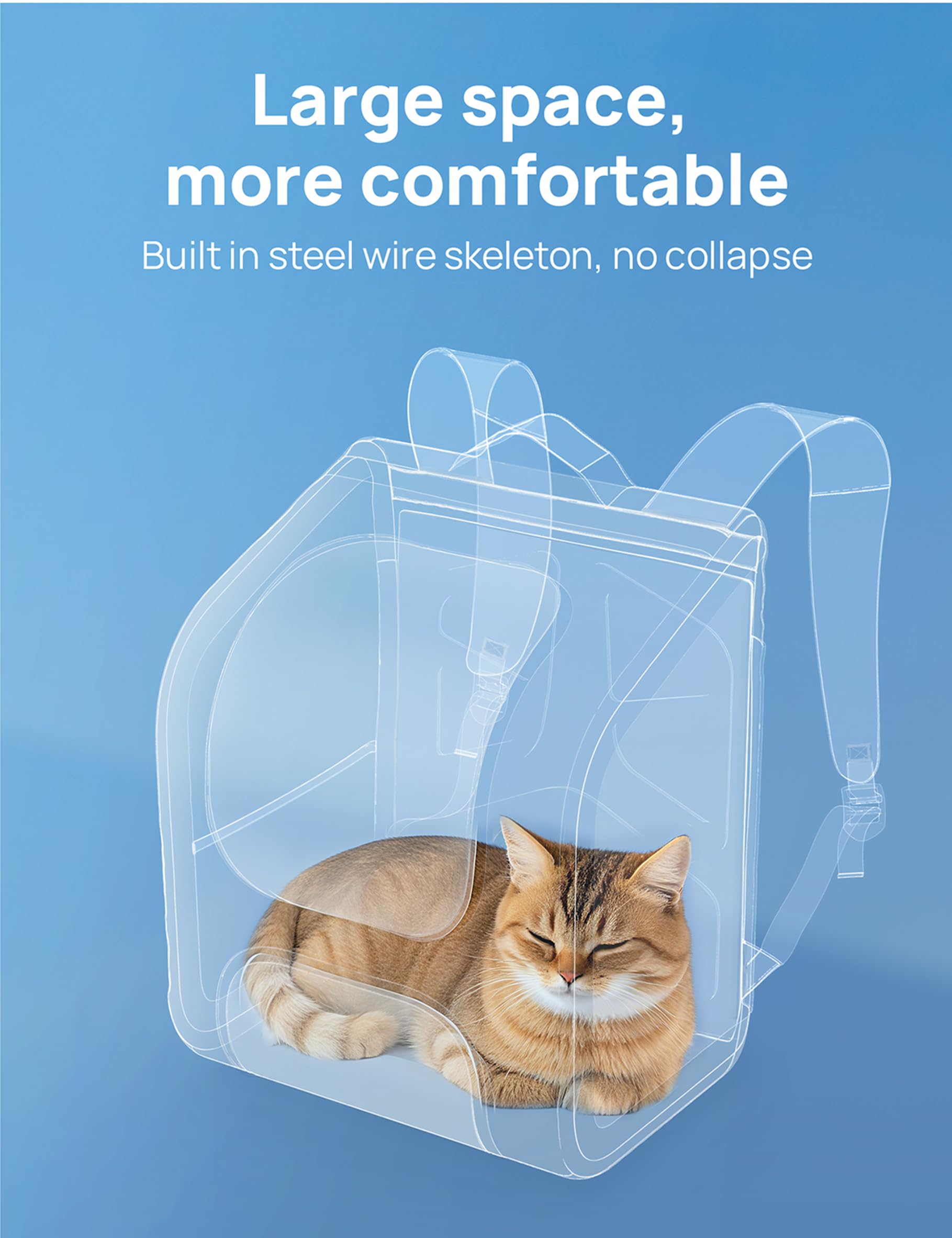 Pecute coque résistante gros plan mettant en valeur durabilité