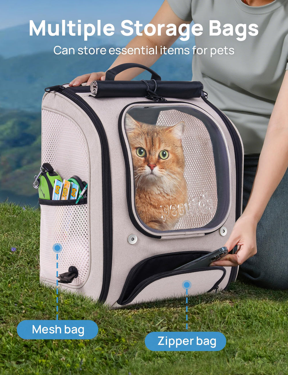Pecute chat dans sac avec jouet, familiarisation et calme