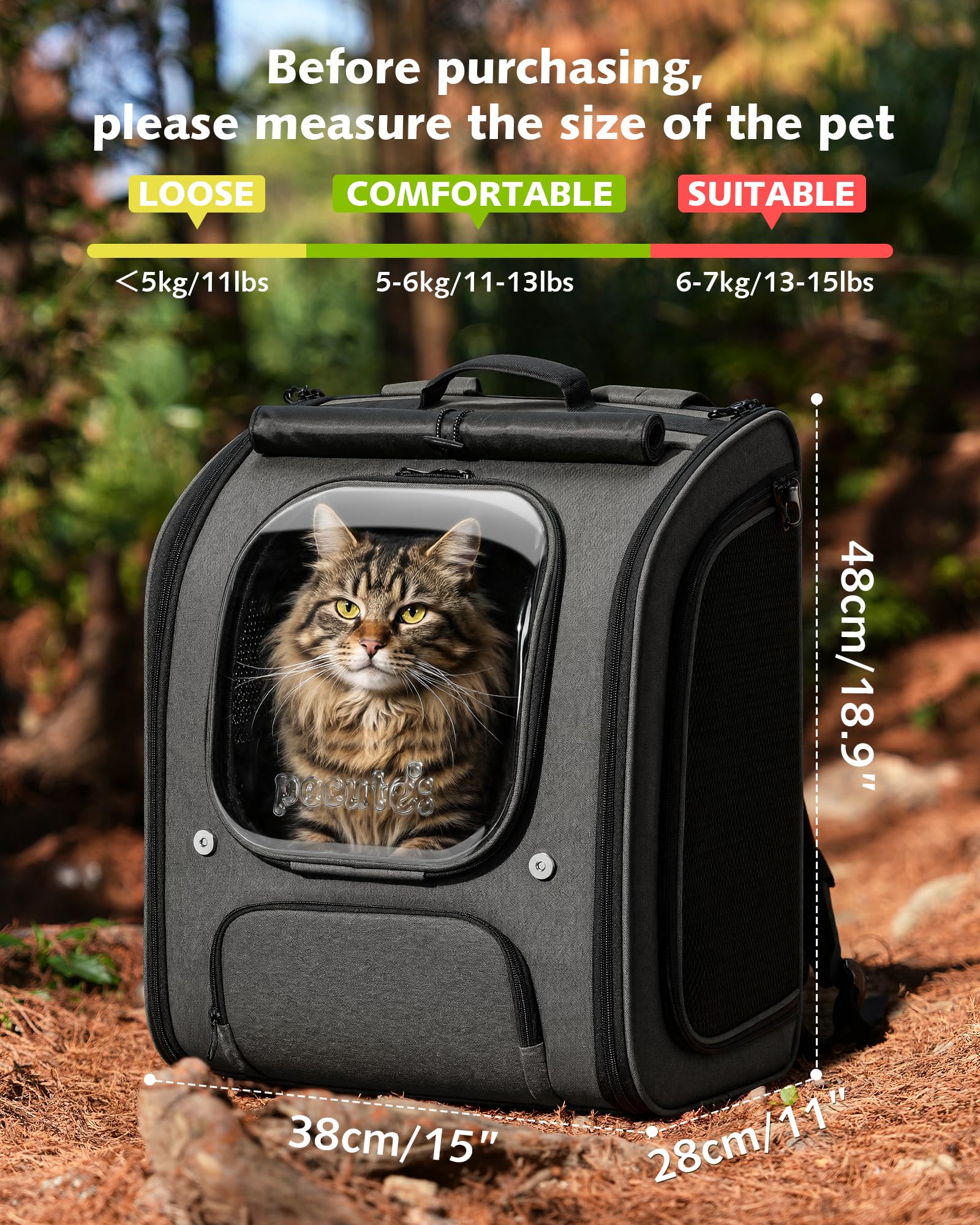 Pecute gros plan de la bulle transparente offrant visibilité et sécurité