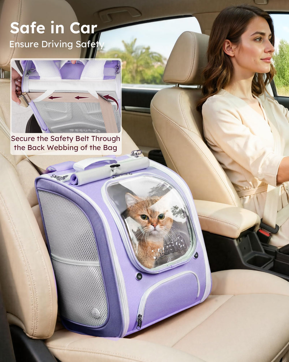 Pecute chat à l'intérieur pour sorties urbaines confortables
