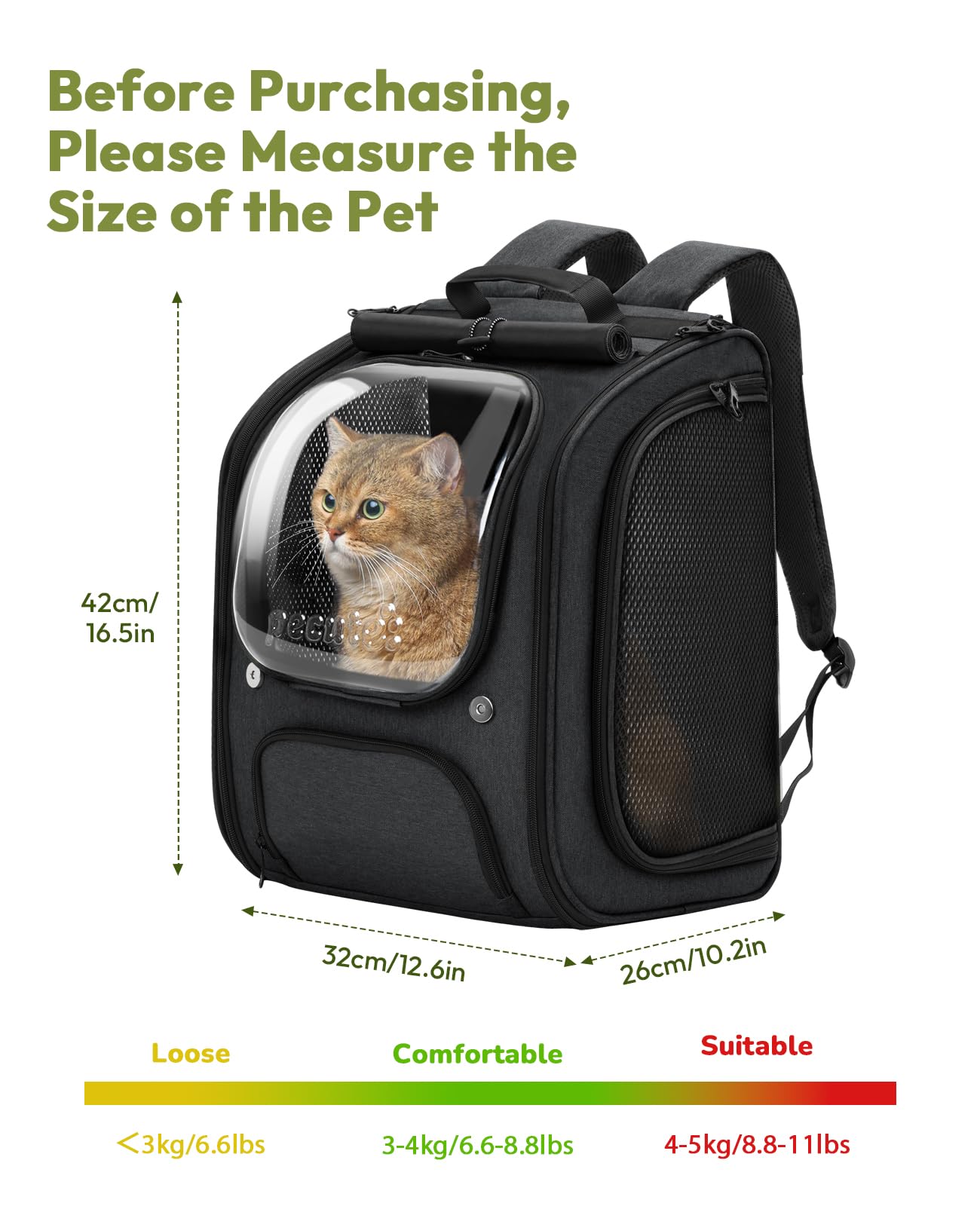 Pecute comparaison de taille avec chat illustrant capacité et dimensions
