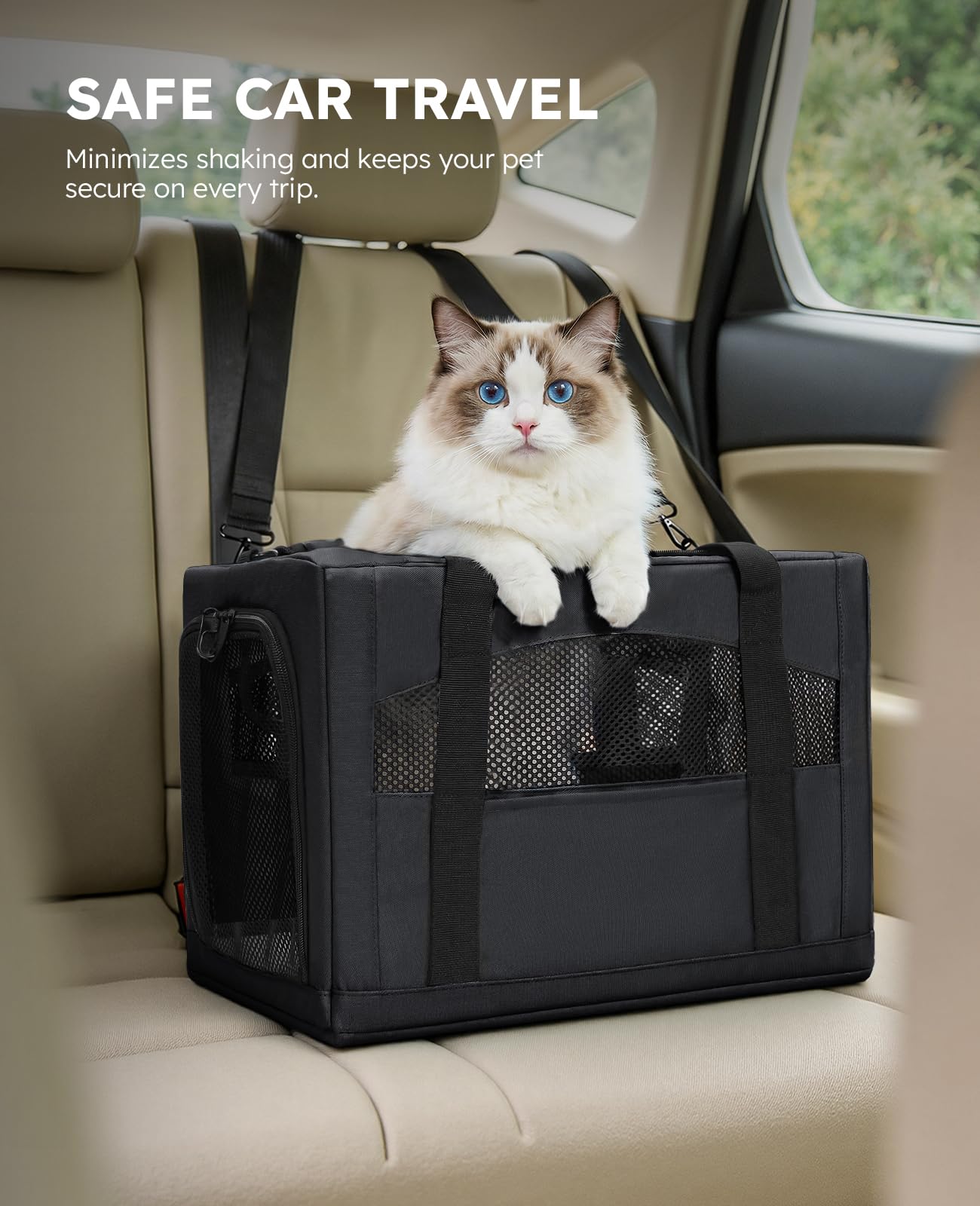 Pecute comparaison taille avec chat posé à côté, échelle et confort