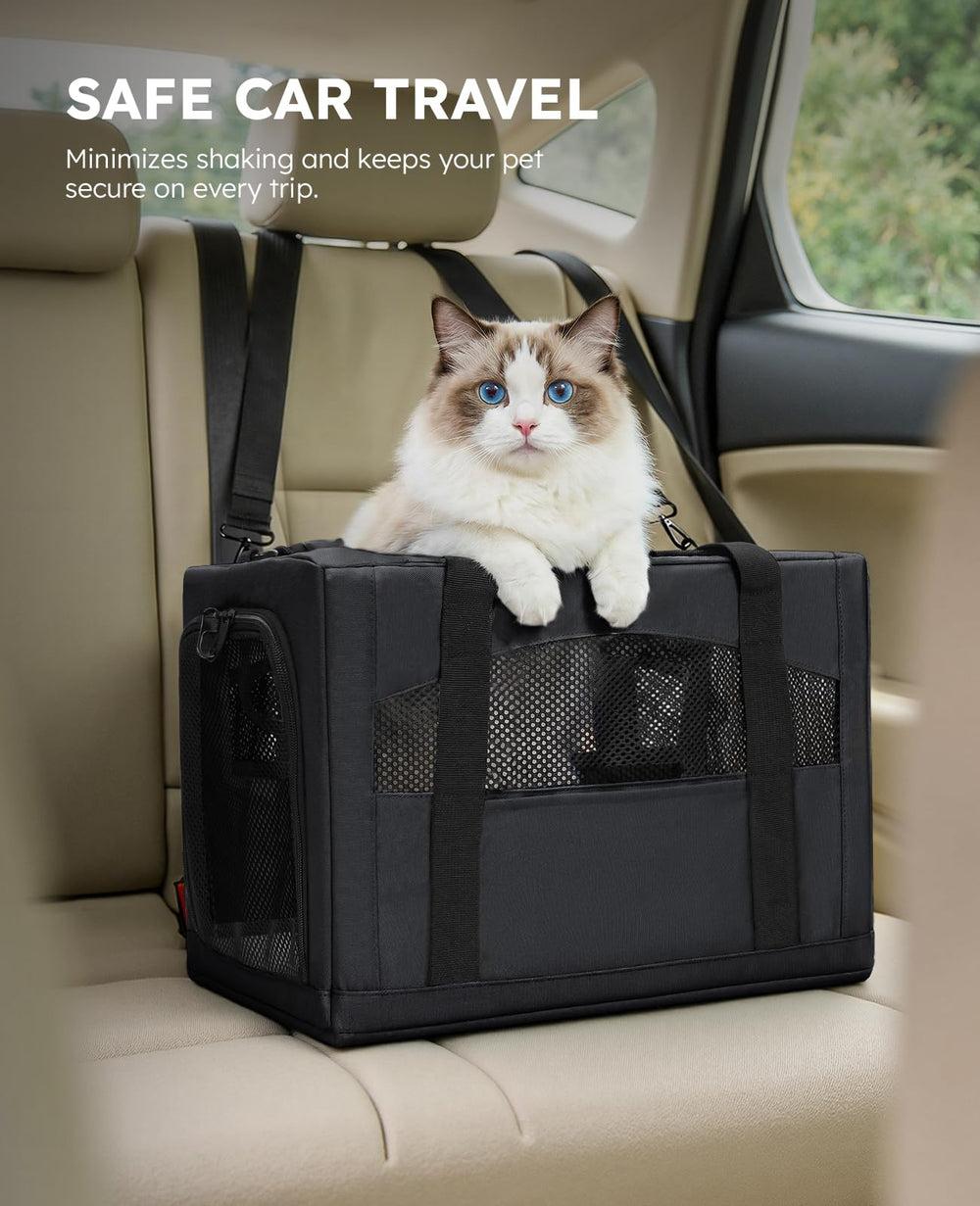 Pecute comparaison taille avec chat posé à côté, échelle et confort