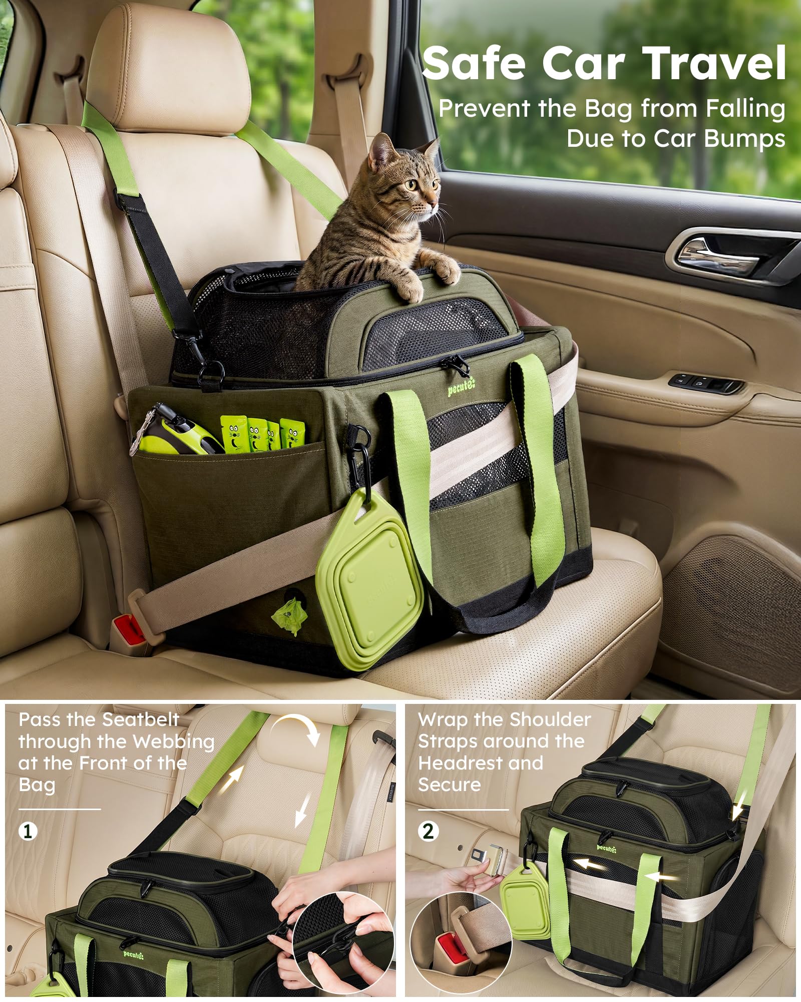 Pecute à côté d'un chat pour comparaison de taille, vérifiez compatibilité 5 kg