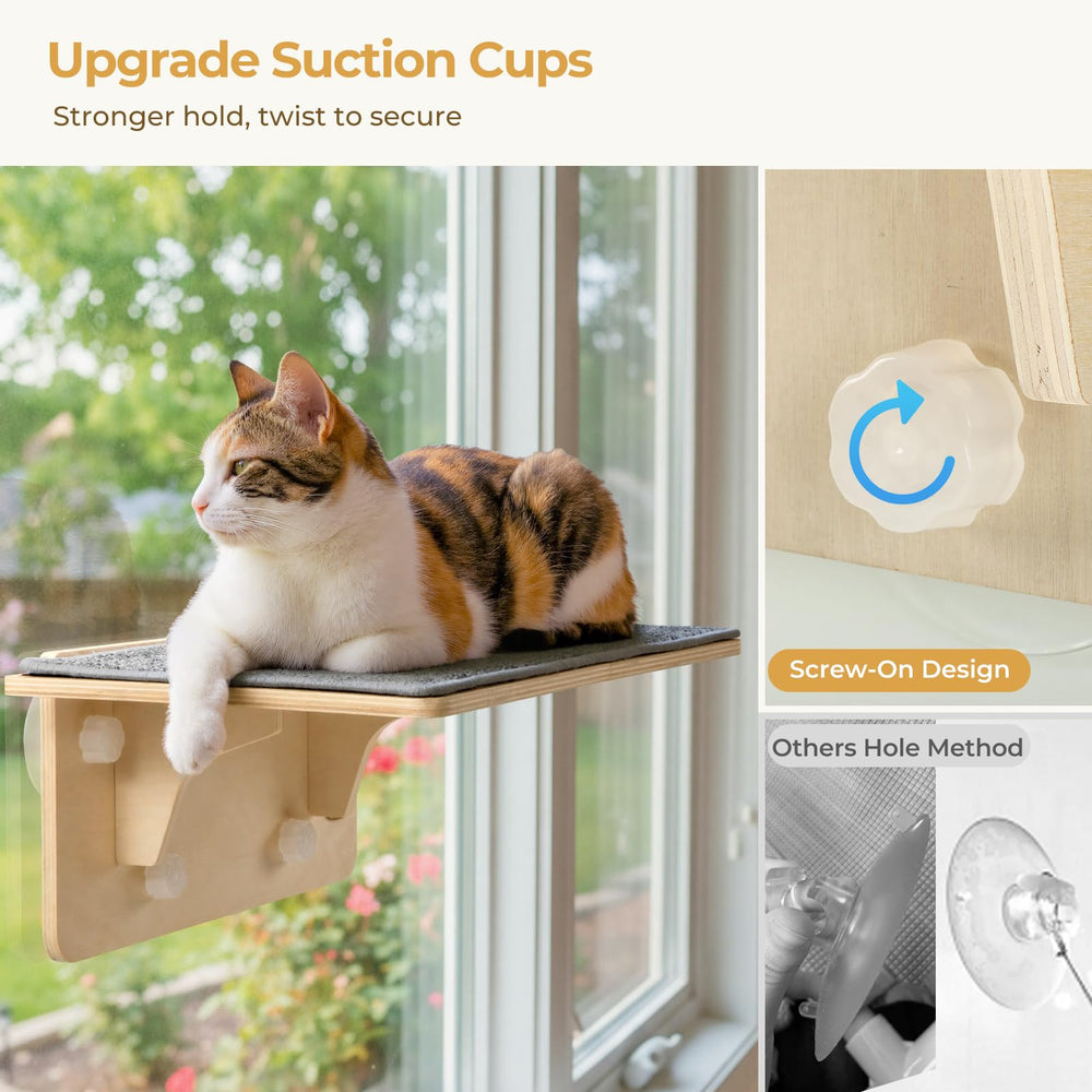 Pecute comparaison taille chat montrant capacité de charge et échelle