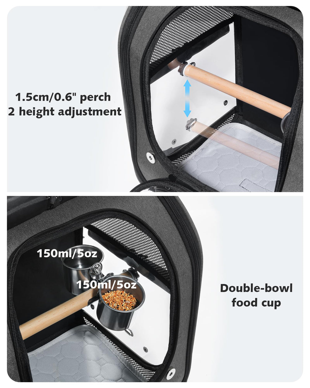 Pecute avec perroquet pour comparaison de taille et ajustement sûr
