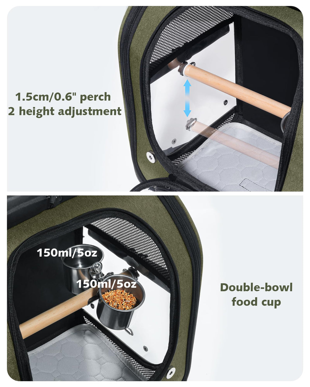 Pecute comparaison taille avec main montrant dimensions adaptées petits perroquets