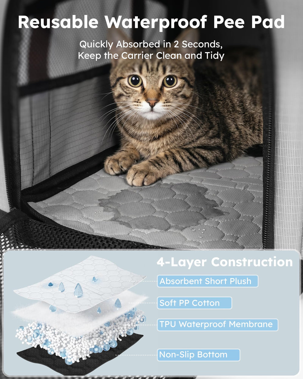 Pecute comparaison d'échelle montrant dimensions adaptées pour petits animaux