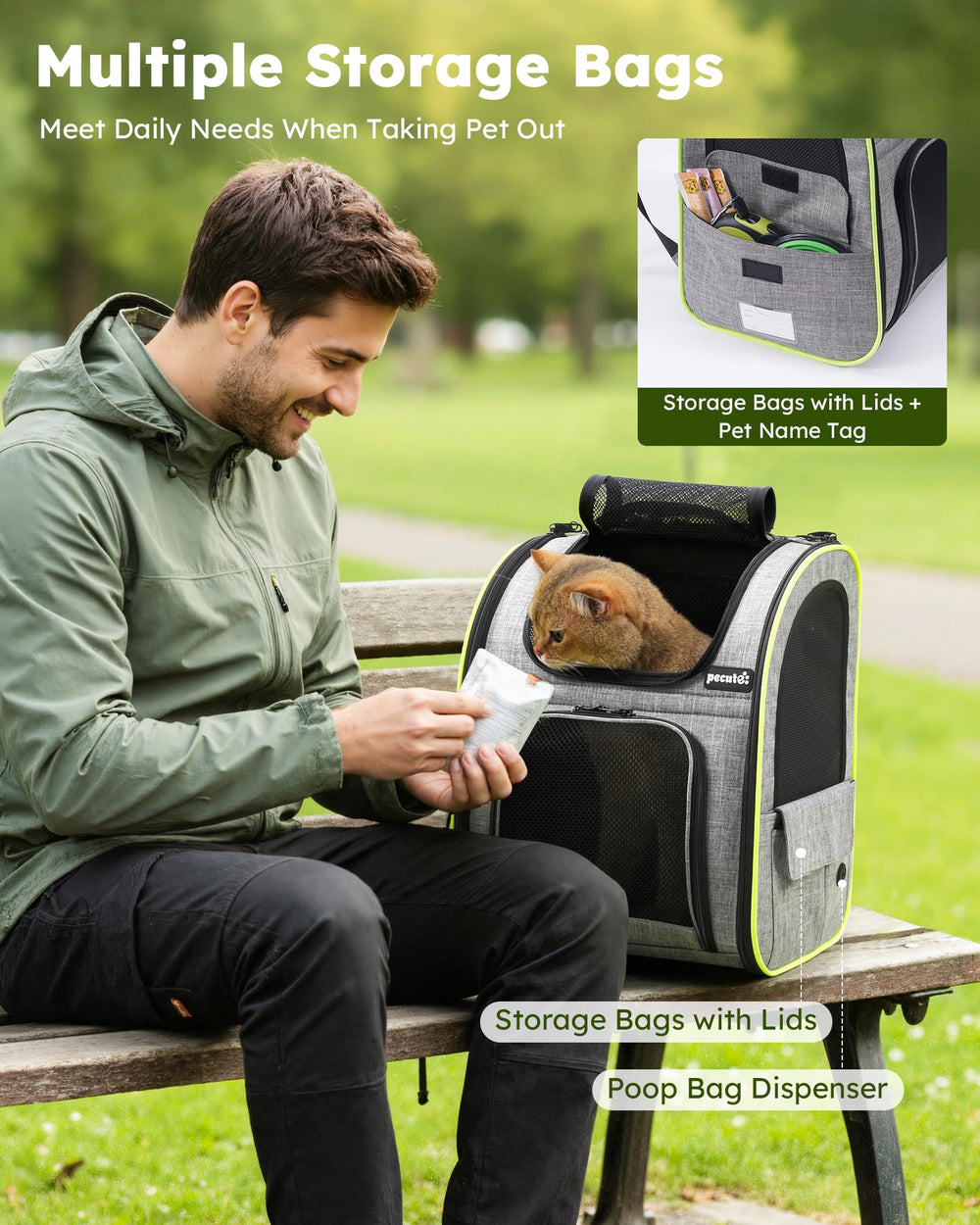 Pecute comparaison de taille montrant l'échelle pour petit chat