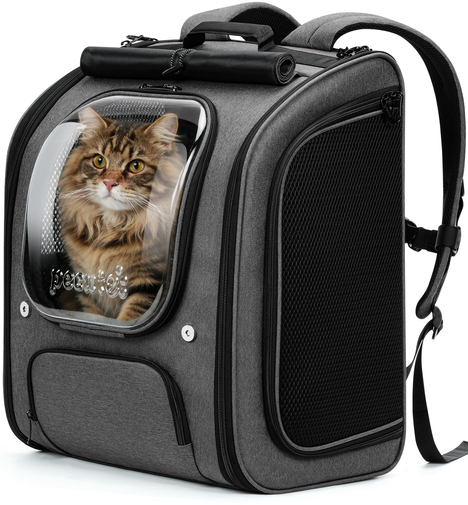 Pecute vue de face du sac à dos gris montrant la bulle et l'allure élégante