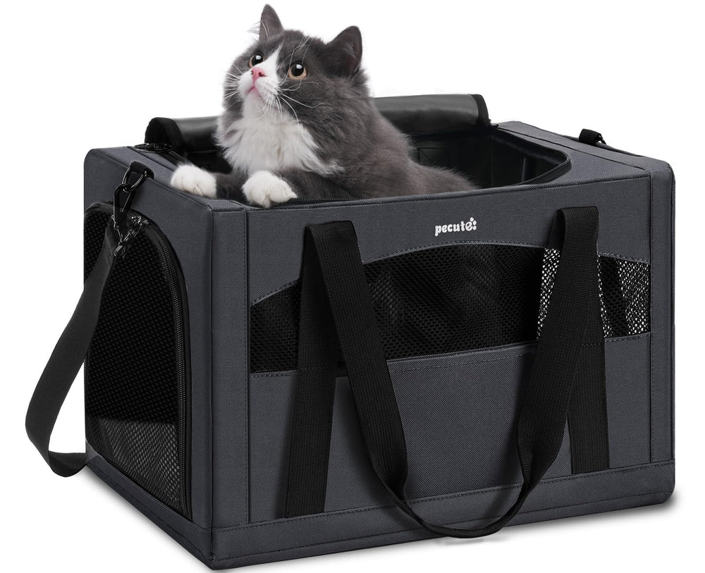 Pecute transporteur face avant montrant design gris et sécurité