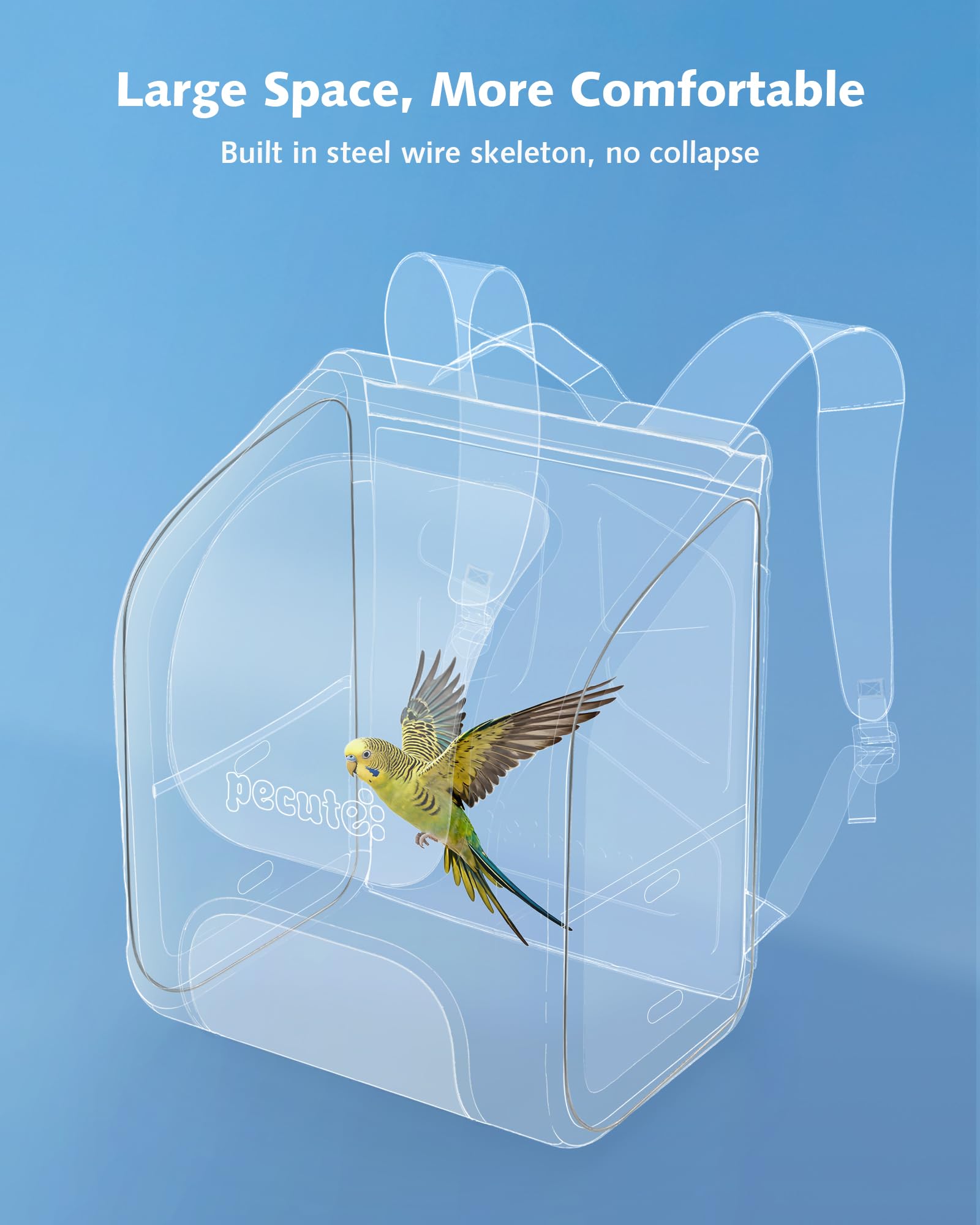 Pecute fenêtre haute définition réduisant le stress de l'oiseau