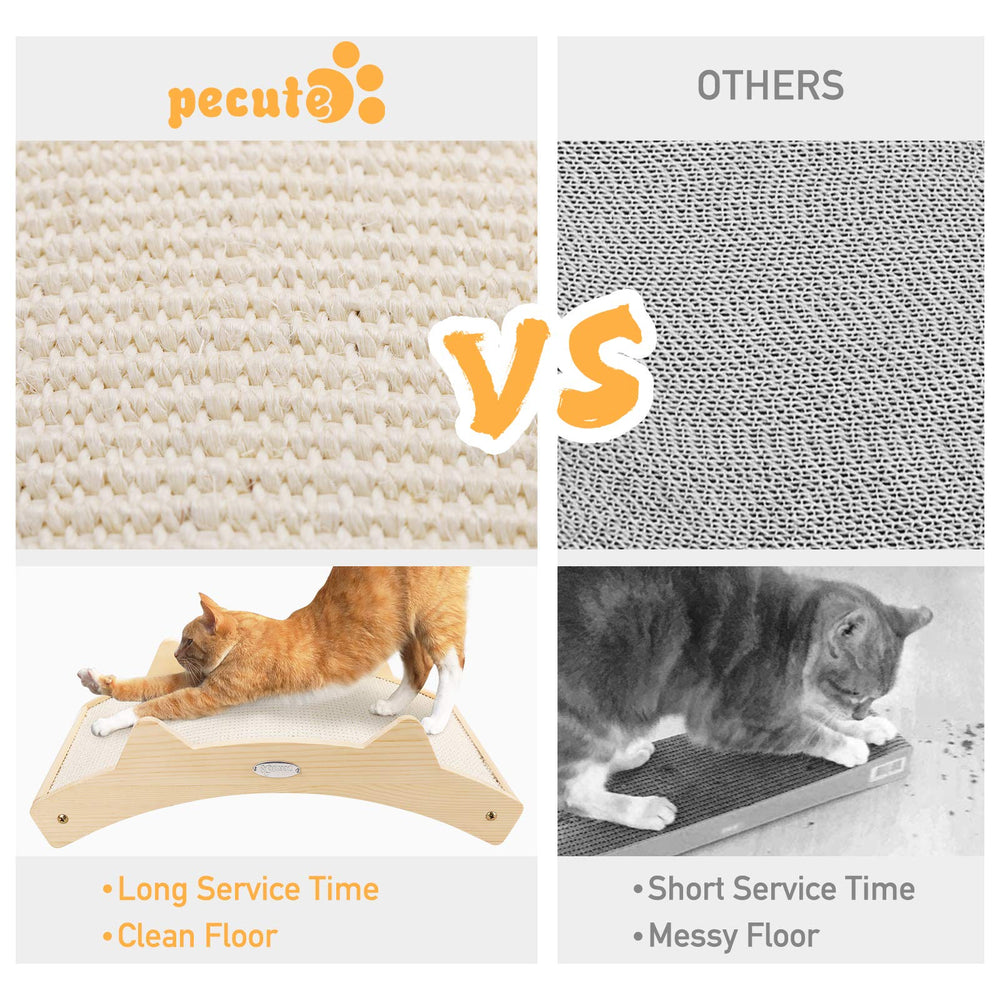 Pecute chat allongé sur la face carpet pour repos sécurisé