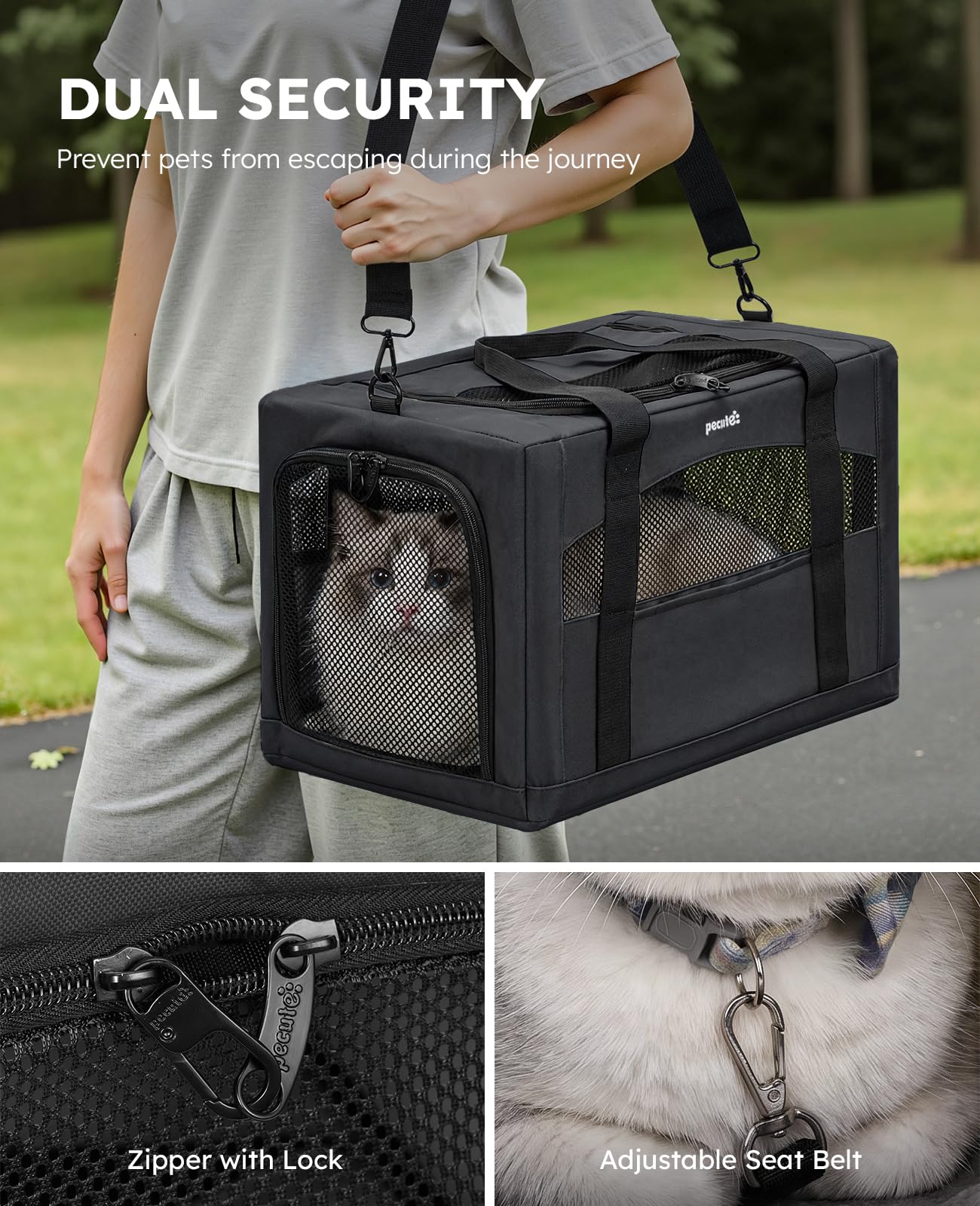 Pecute intérieur montrant la cloison cachée, apaisement pour l'animal