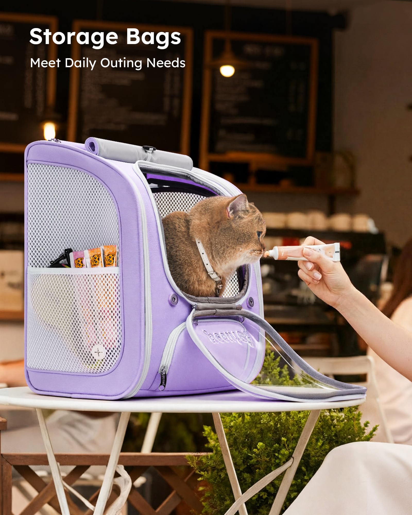 Pecute intérieur avec coussin amovible facile à laver