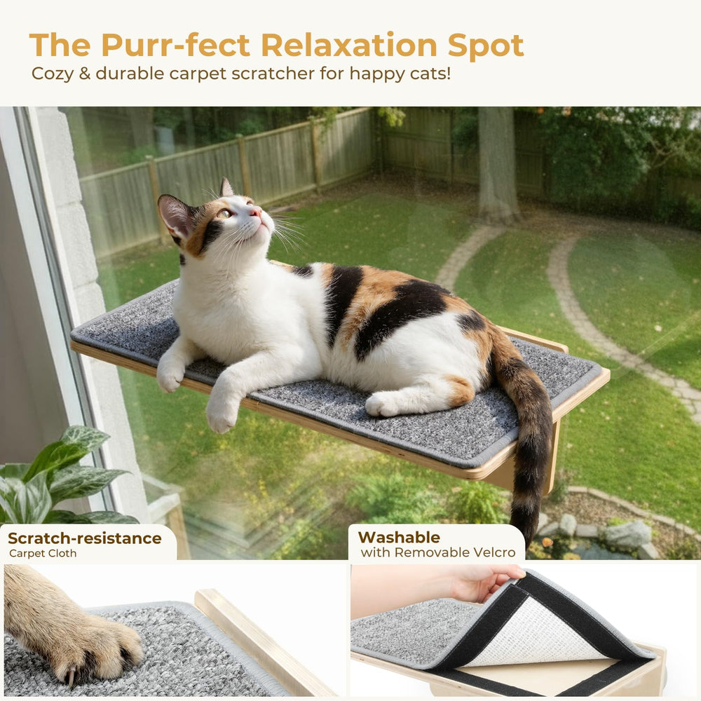 Pecute perchoir monté sur mur, solution stable pour espace vertical