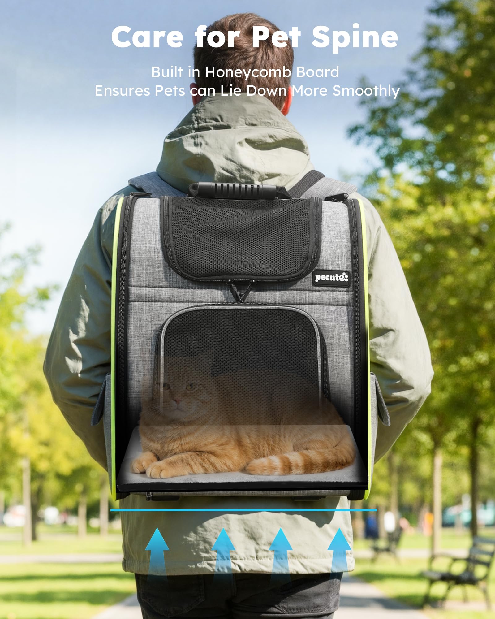 Pecute poches latérales pour stocker friandises et accessoires