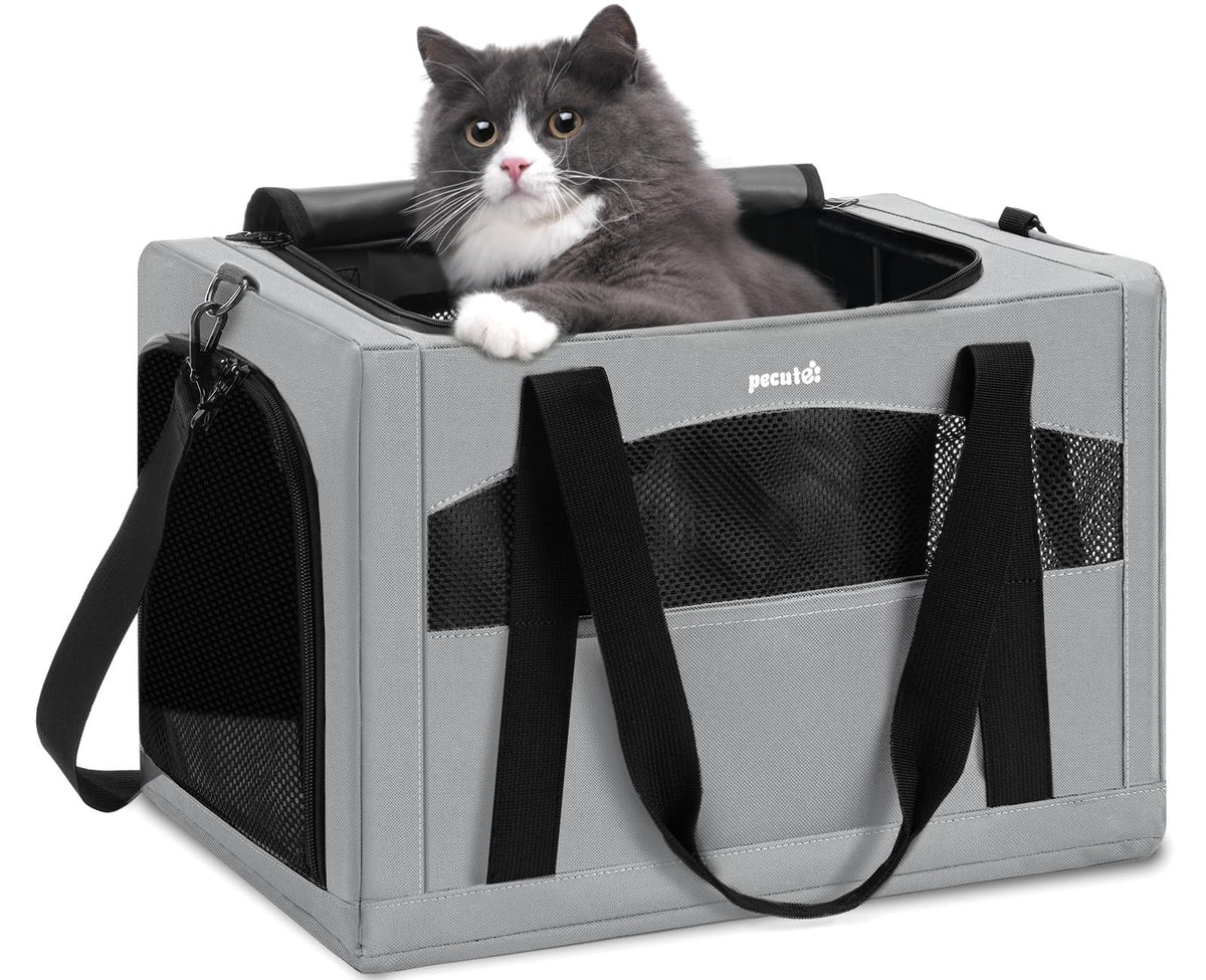 Pecute vue frontale du sac de transport montrant la fermeture et le confort