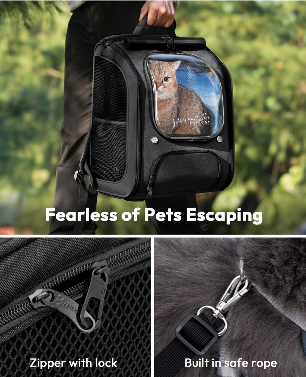 Pecute porté en ville montrant confort du chat et ergonomie pour le porteur