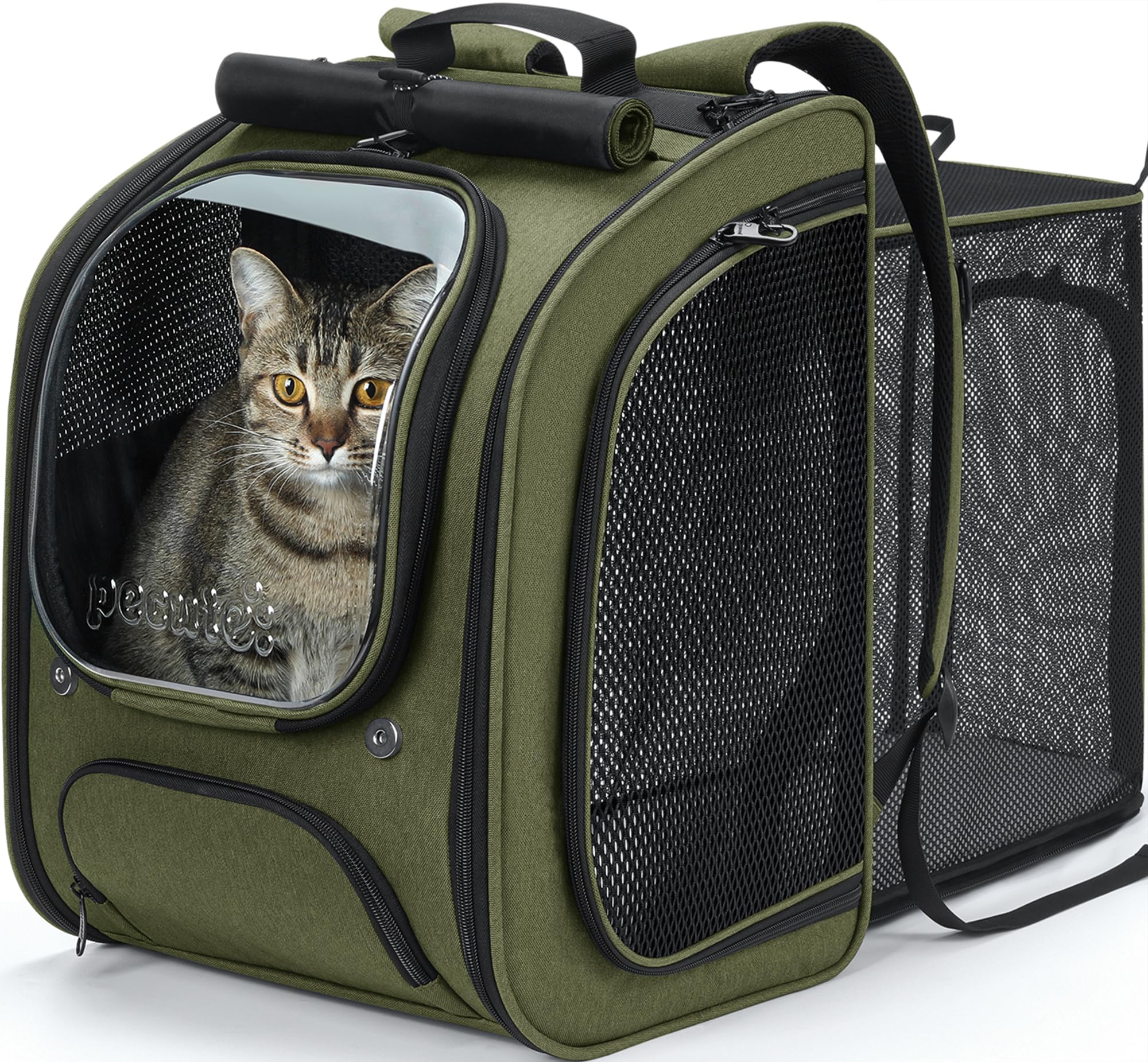 Pecute sac à dos avant vert montrant la bulle transparente et bonne visibilité