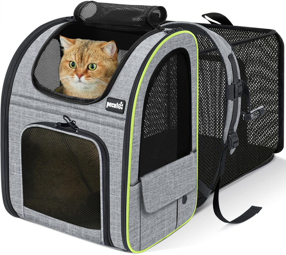 Pecute sac à dos face avant montrant le design sûr et spacieux