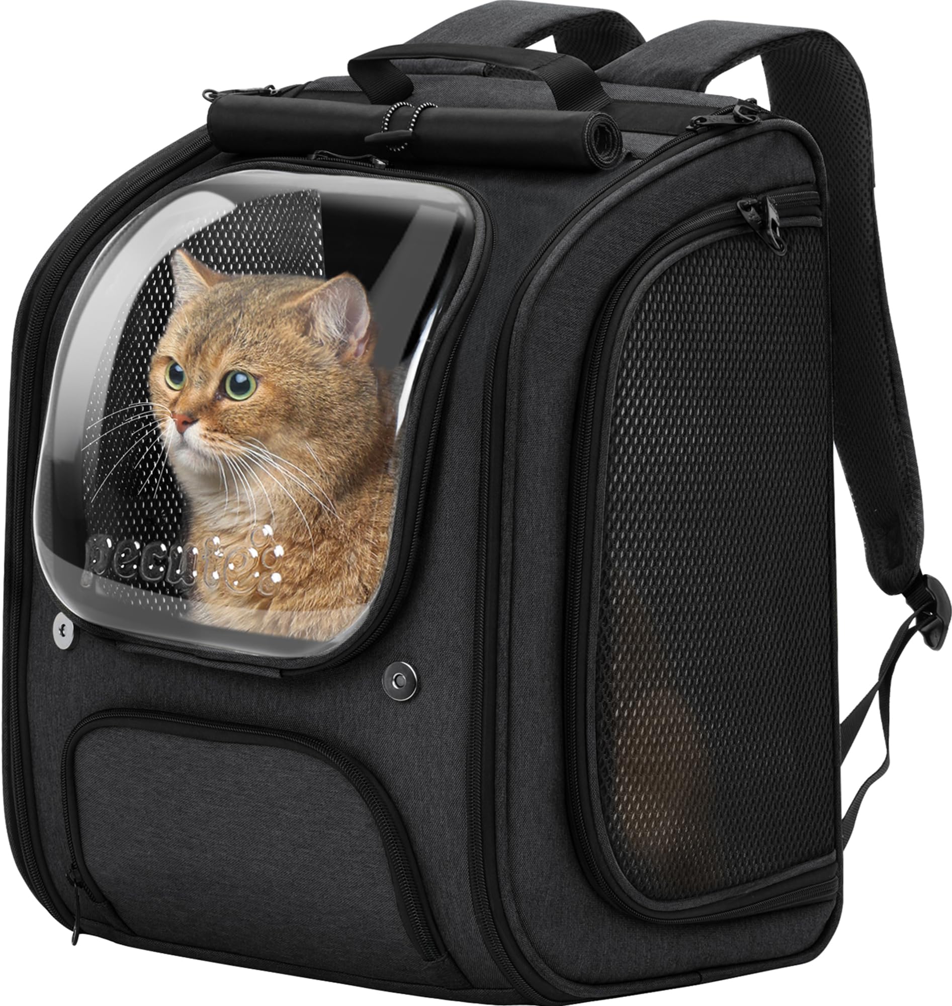 Pecute sac à dos face montrant la bulle et la coque rigide pour sécurité