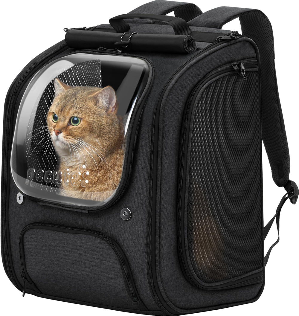 Pecute sac à dos face montrant la bulle et la coque rigide pour sécurité