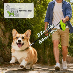 Pecute sangle avec bandes réfléchissantes pour visibilité nocturne