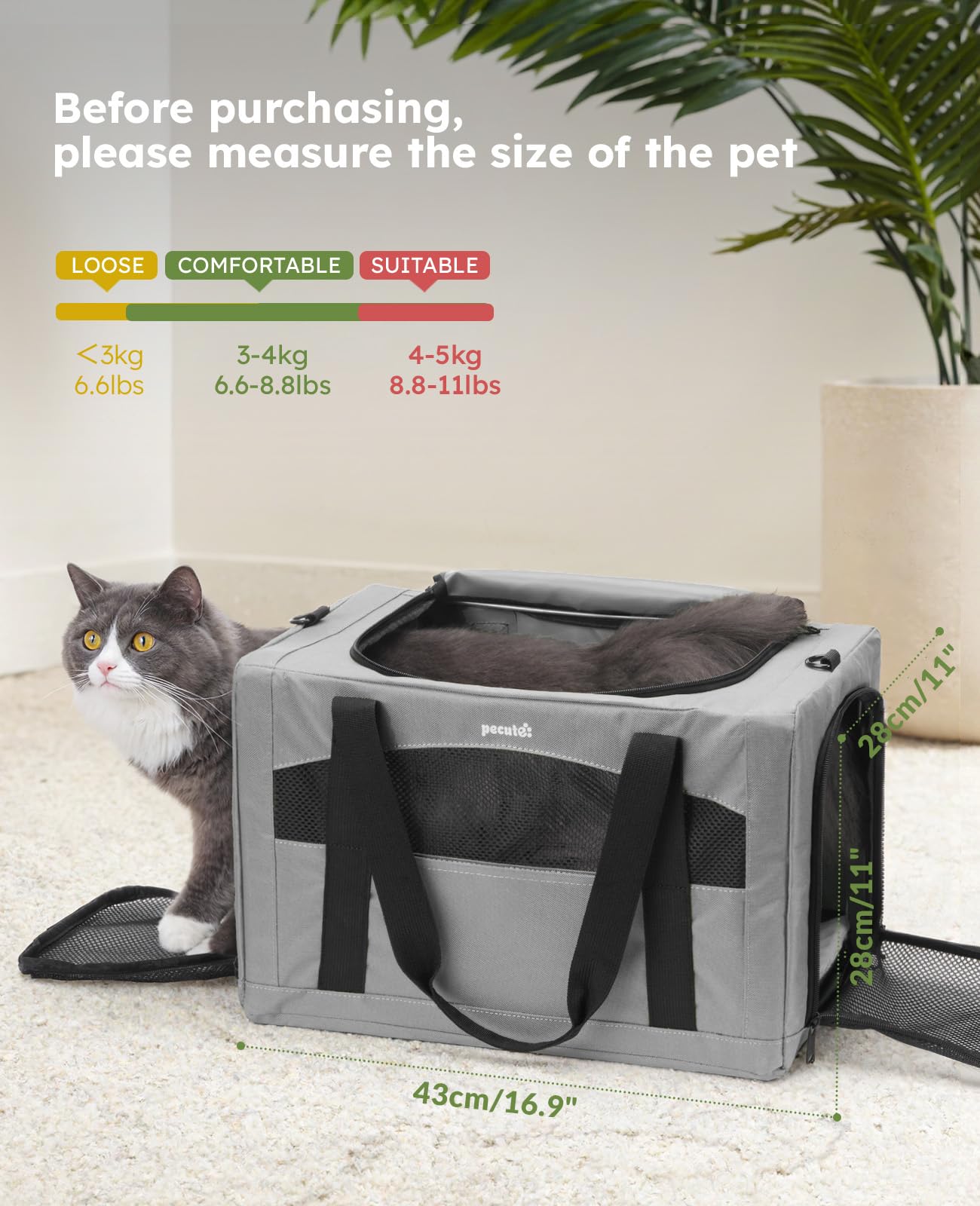 Pecute cadre lifestyle chez le vétérinaire pour trajets sereins et pratiques