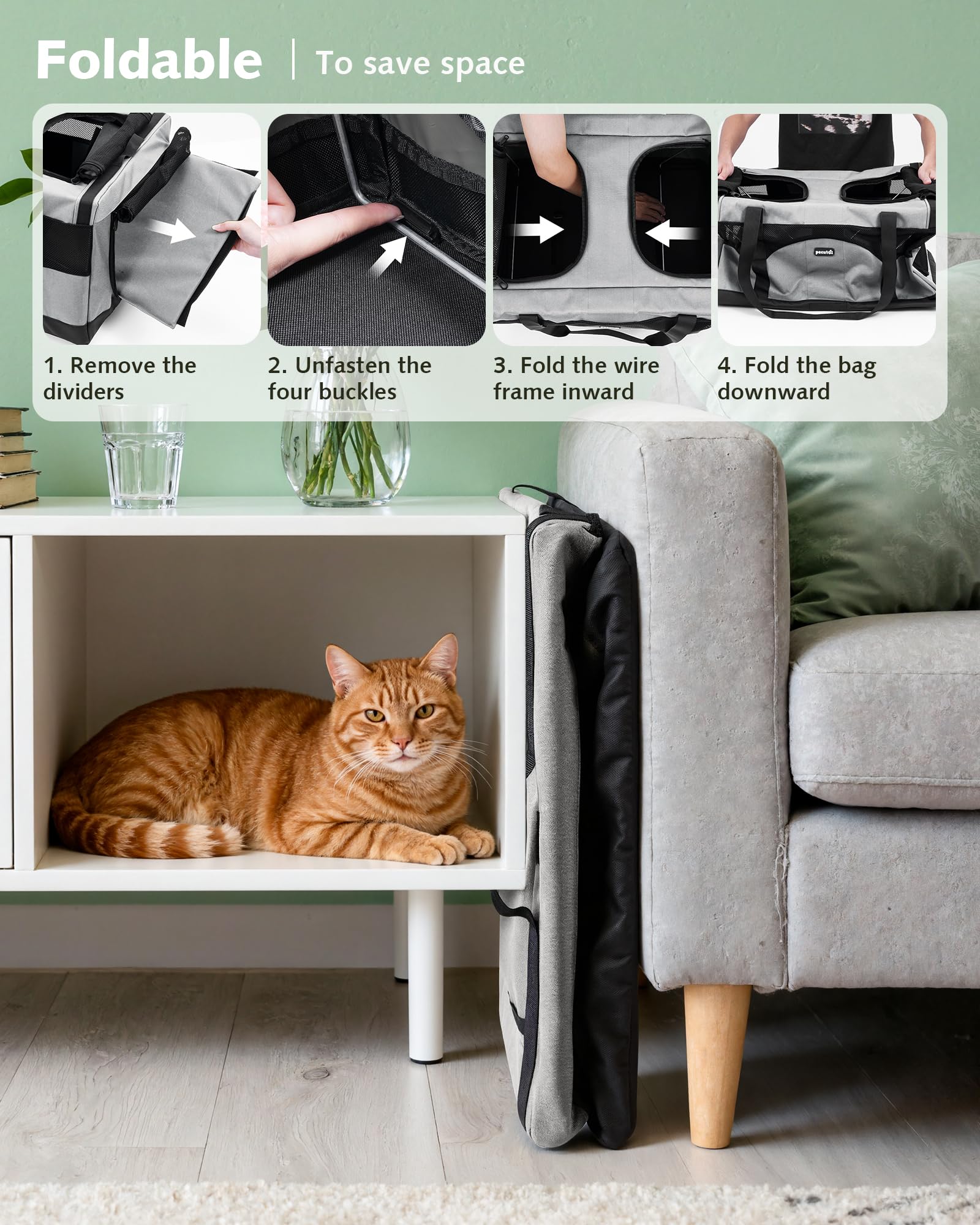 Pecute deux chats à l'intérieur pour confort partagé