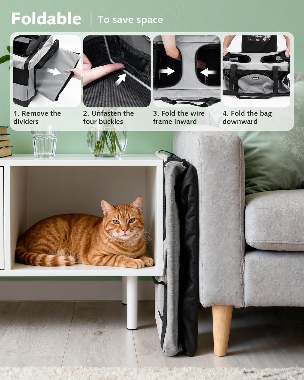 Pecute deux chats à l'intérieur pour confort partagé