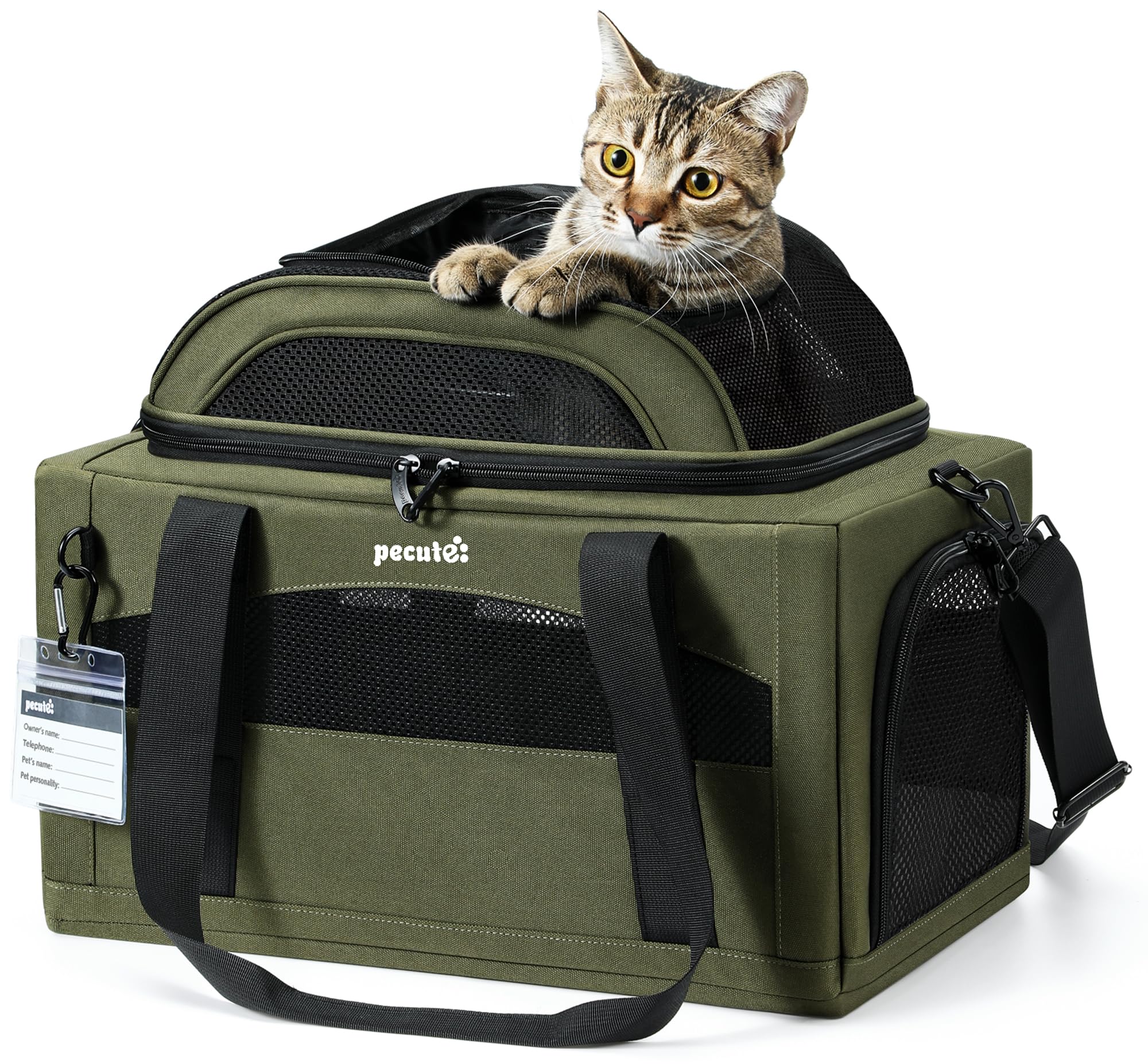 Pecute transporteur vue de face olive green, design compact et pratique