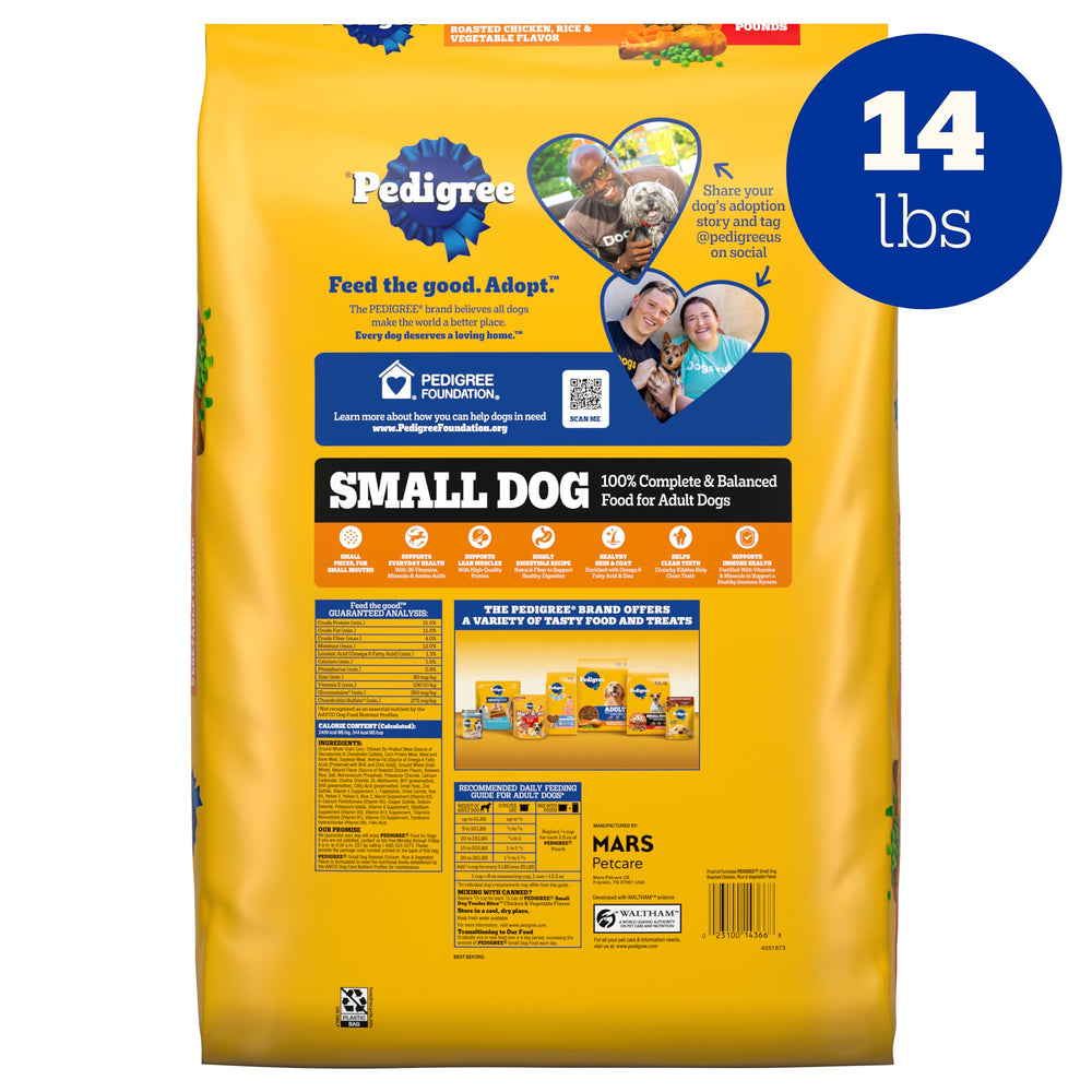 pedigree petit chien mange en cuisine illustrant acceptation et plaisir
